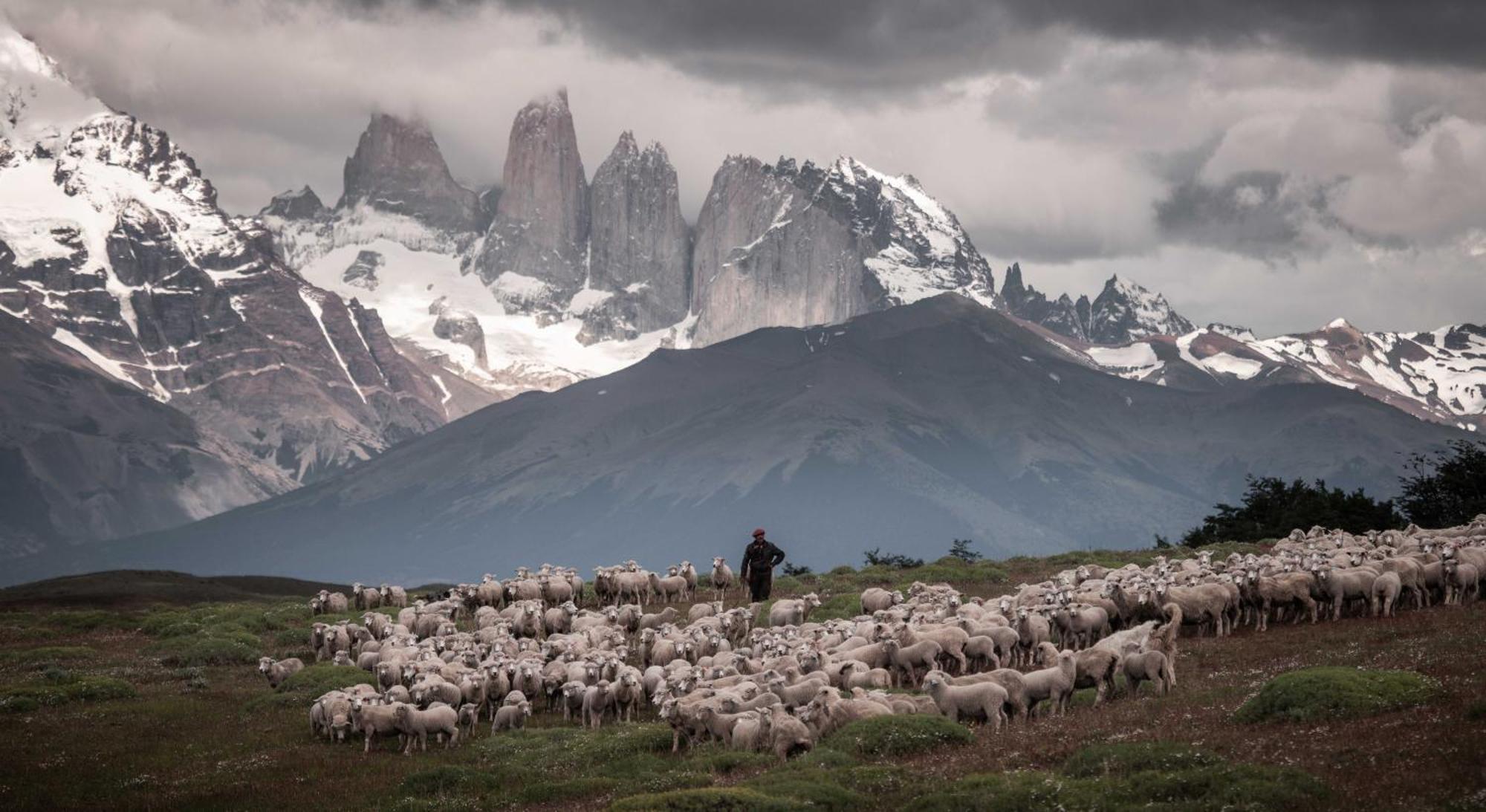 Estancia Cerro Guido Torres del Paine National Park Eksteriør bilde